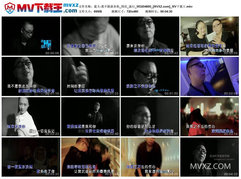 蓝大-我不愿放弃你_国语_流行_MD204850